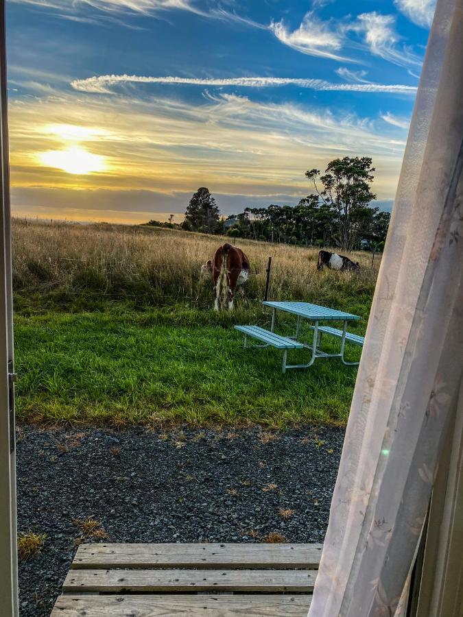 White Caps Kaikoura Farmstay Luaran gambar