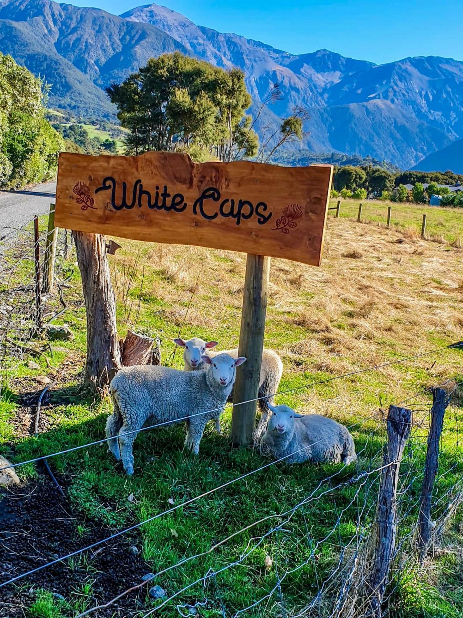 White Caps Kaikoura Farmstay Luaran gambar